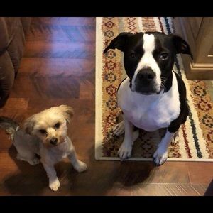 Meet your Posher, Mary